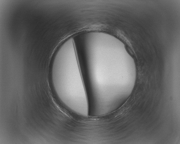 X0000083610059200702120734