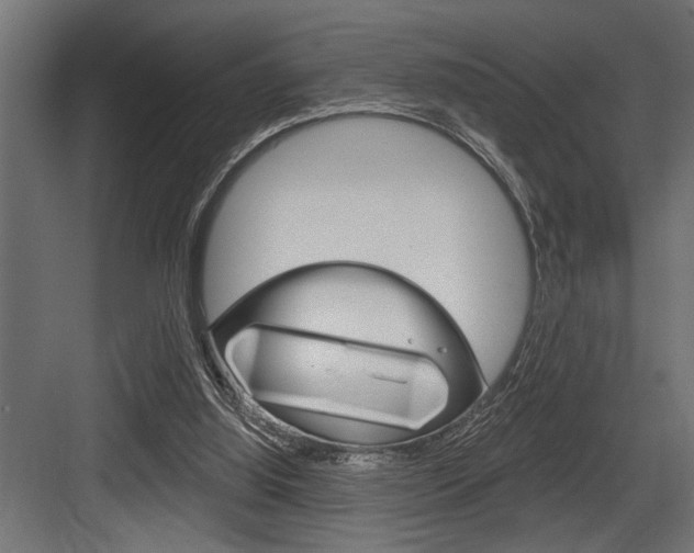 X0000083610060200702120734