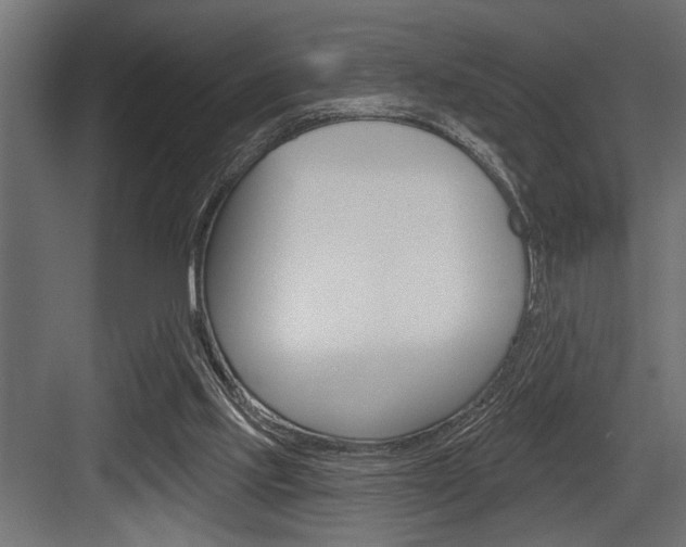 X0000083610061200702120734