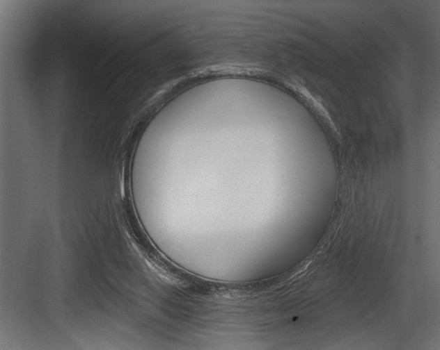 X0000083610062200702120734