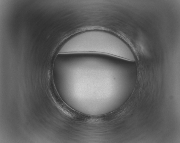 X0000083610063200702120734