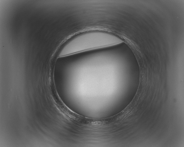 X0000083610064200702120734