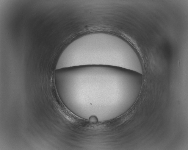 X0000083610065200702120734