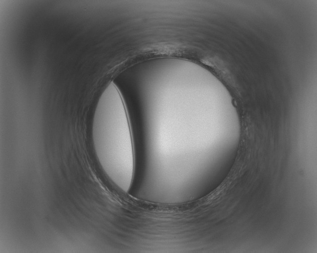 X0000083610066200702120734