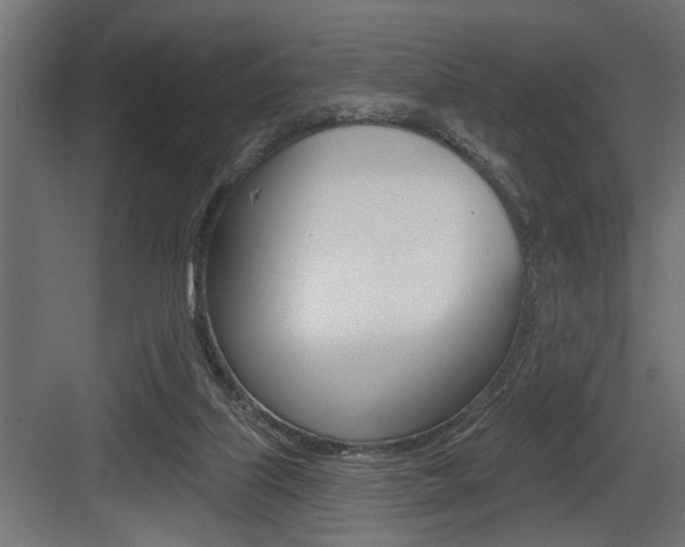 X0000083610067200702120734