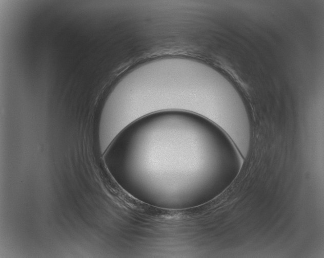 X0000083610068200702120734