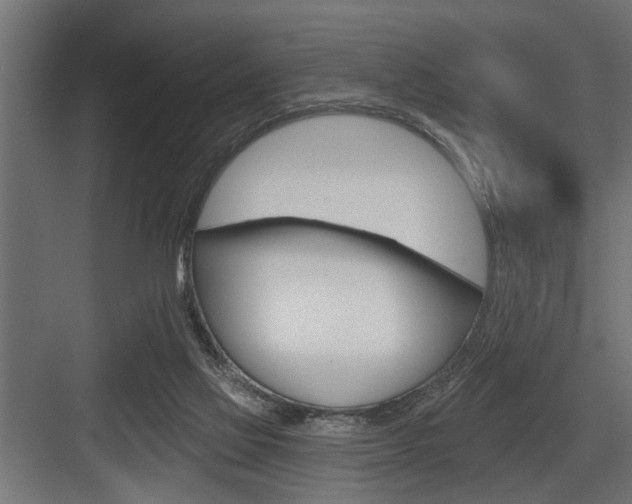 X0000083610069200702120734