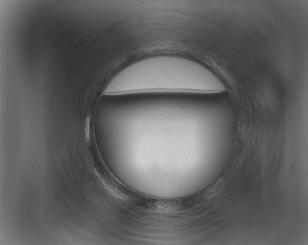 X0000083610070200702120734