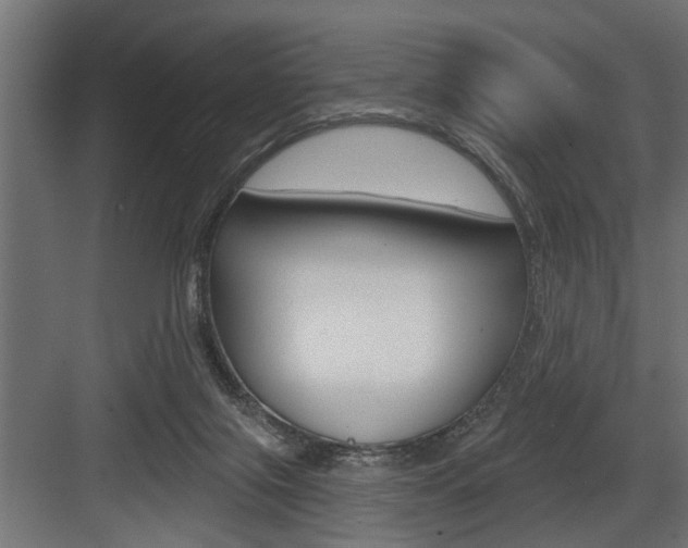 X0000083610071200702120734