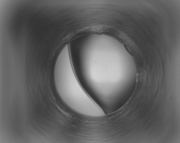 X0000083610072200702120734