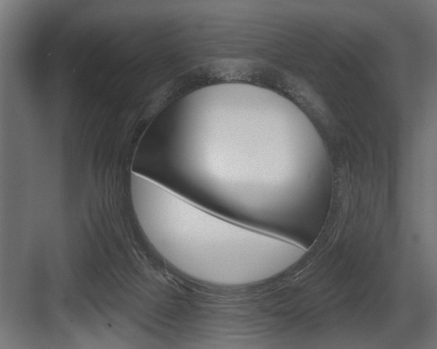 X0000083610073200702120734