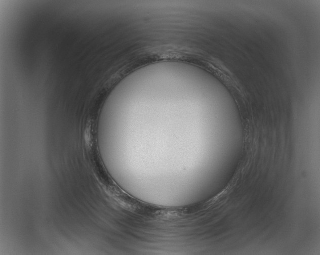 X0000083610074200702120734