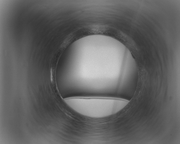 X0000083610075200702120734