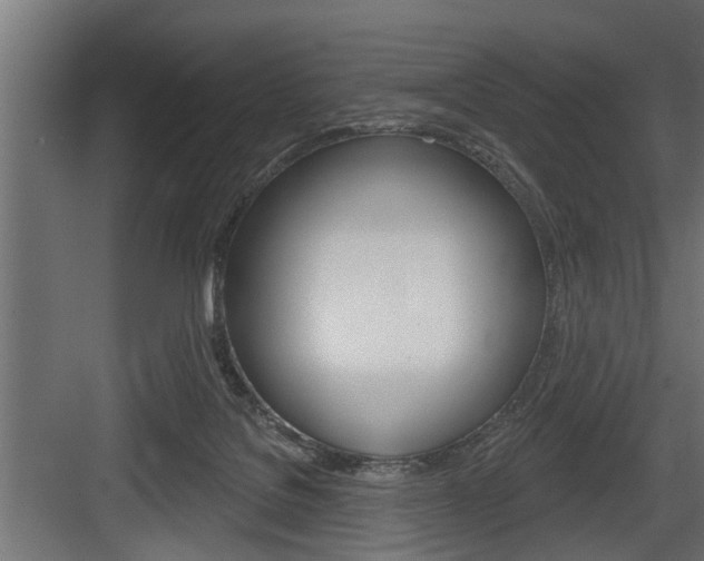 X0000083610076200702120734