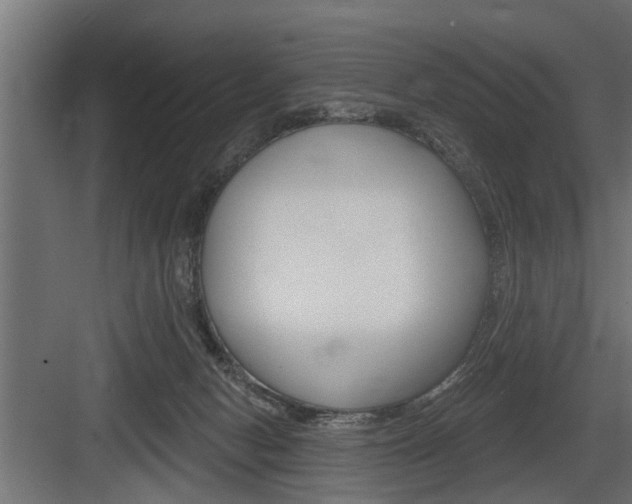 X0000083610078200702120734