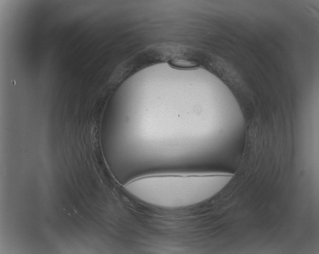 X0000083610079200702120734