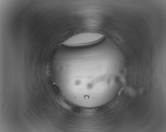 X0000083610081200702120734