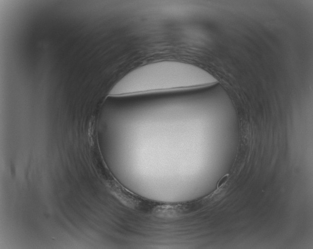 X0000083610082200702120734