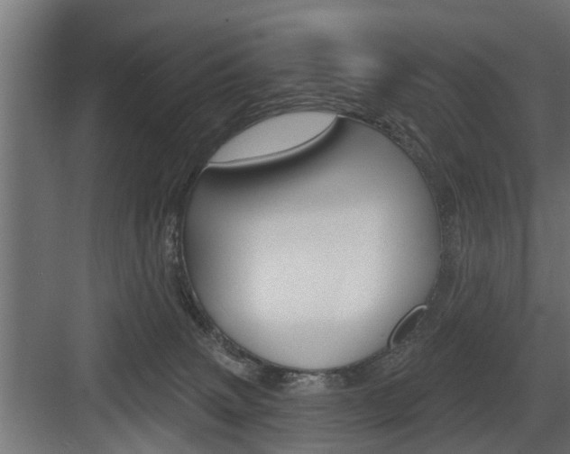 X0000083610083200702120734