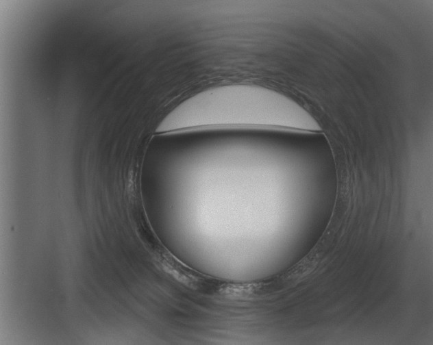 X0000083610084200702120734