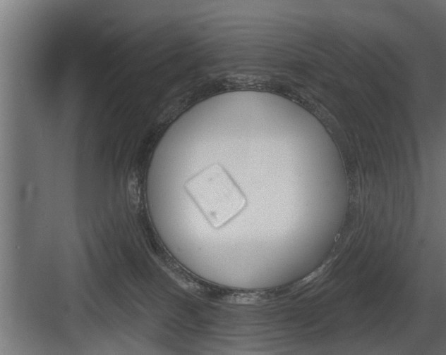 X0000083610086200702120735