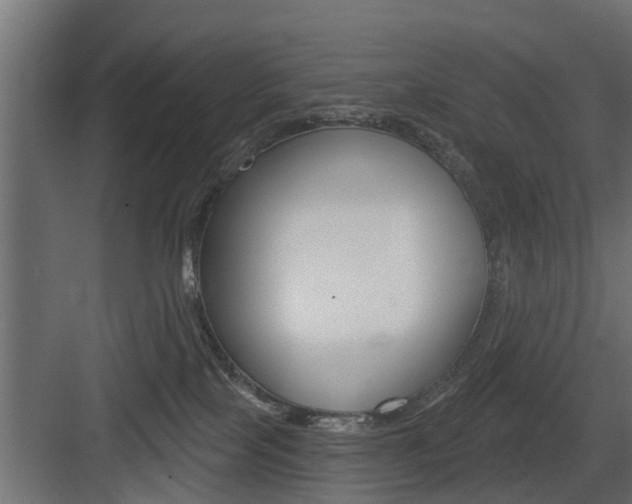 X0000083610089200702120735