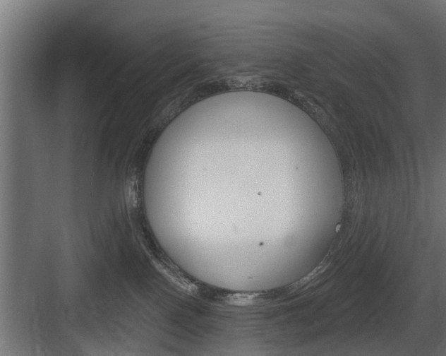 X0000083610090200702120735