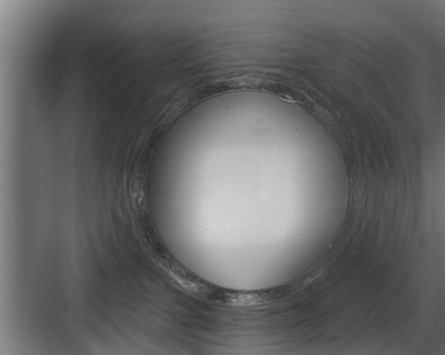 X0000083610091200702120735