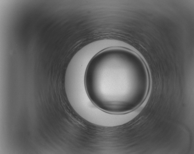 X0000083610092200702120735