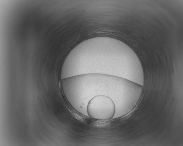 X0000083610094200702120735