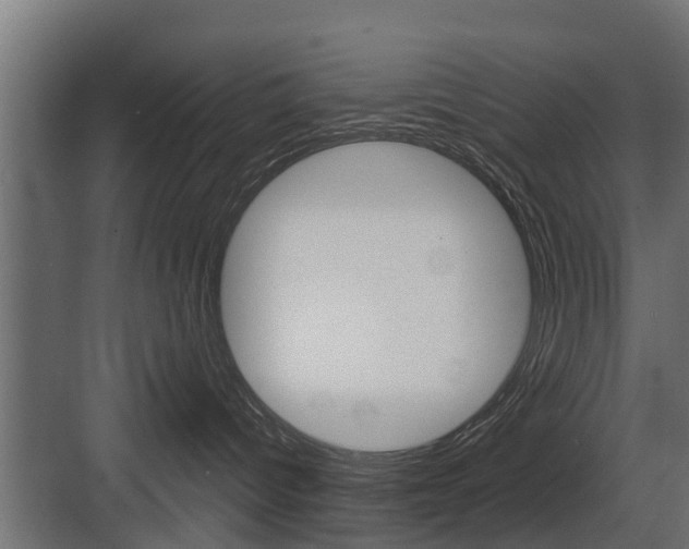 X0000083610096200702120735