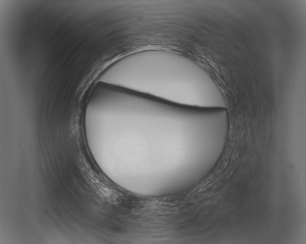 X0000083610098200702120734