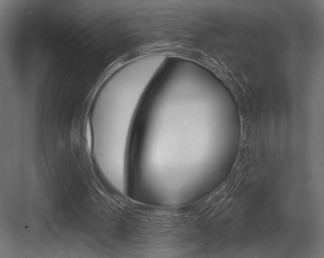 X0000083610099200702120734