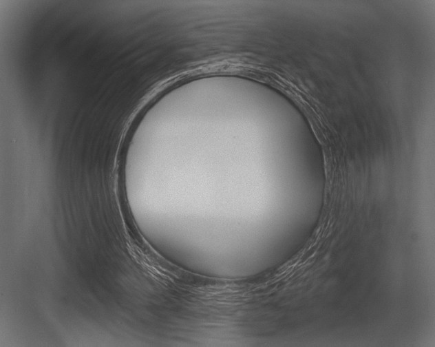 X0000083610100200702120734