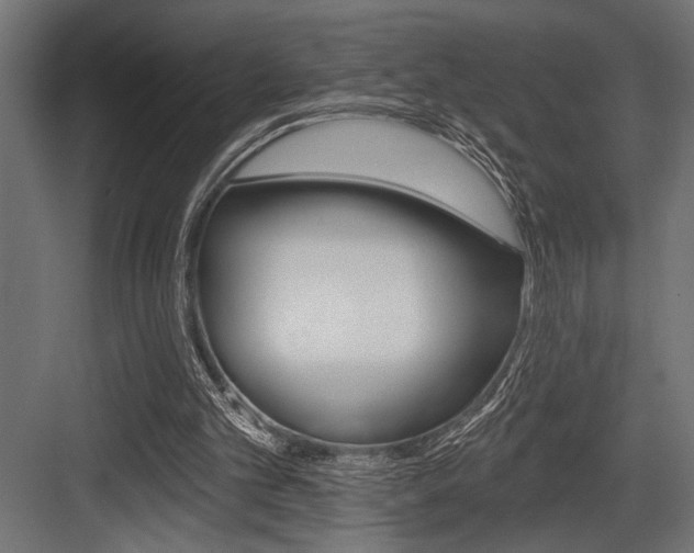 X0000083610101200702120734