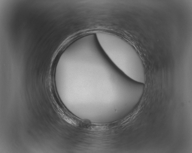 X0000083610102200702120734