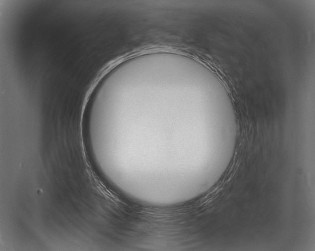 X0000083610104200702120734