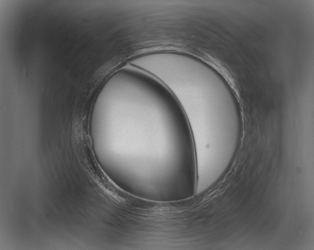 X0000083610105200702120734