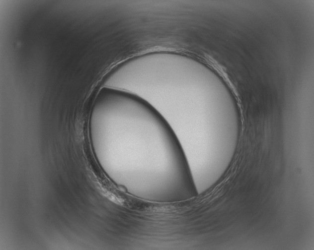 X0000083610106200702120734