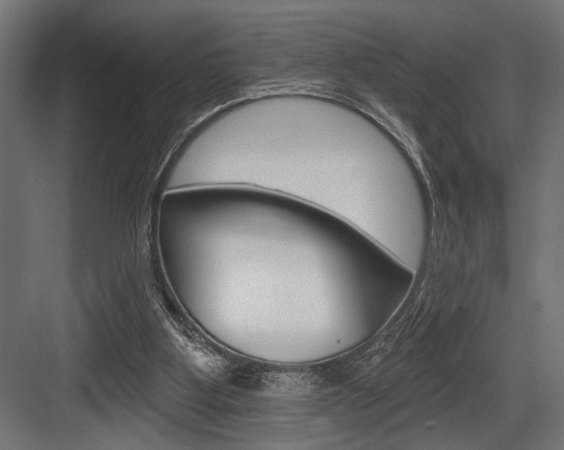 X0000083610107200702120734