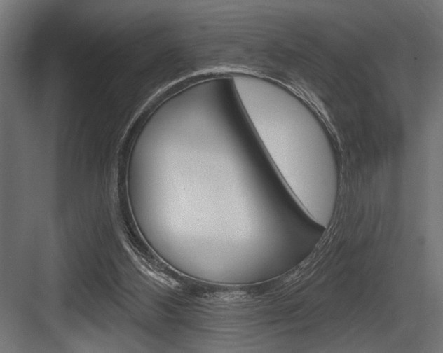 X0000083610108200702120734