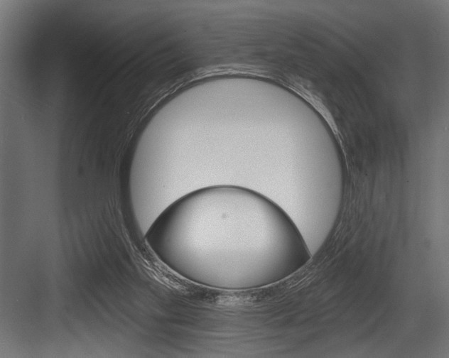 X0000083610109200702120734