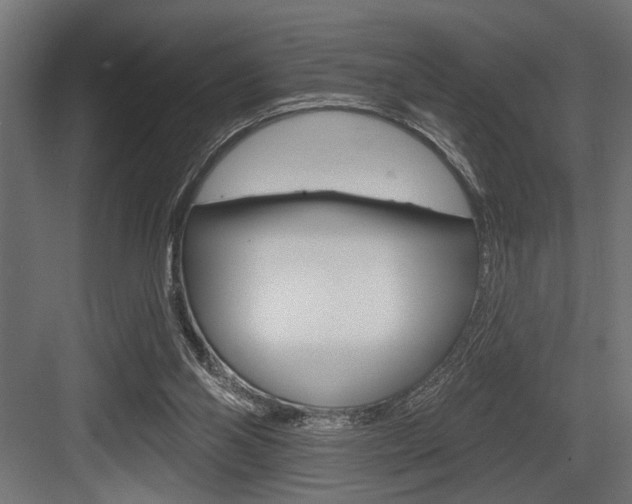 X0000083610110200702120734