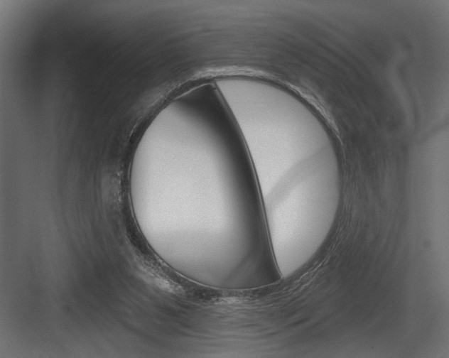 X0000083610111200702120734