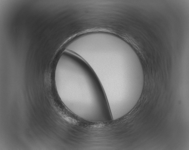 X0000083610112200702120734