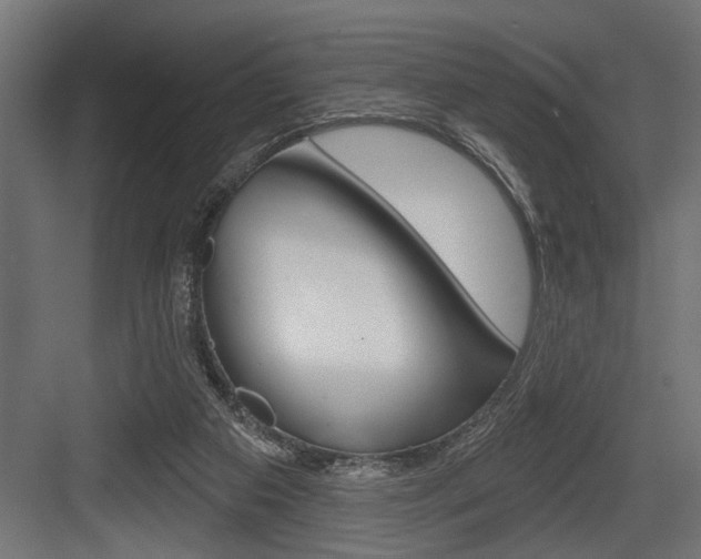 X0000083610113200702120734