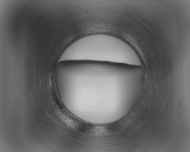 X0000083610114200702120734