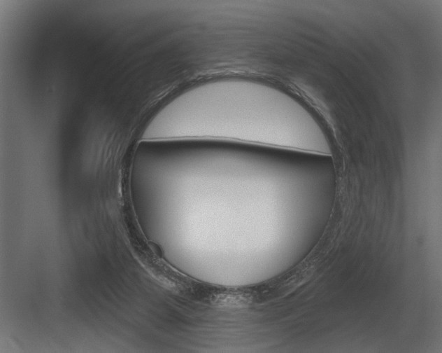 X0000083610115200702120734