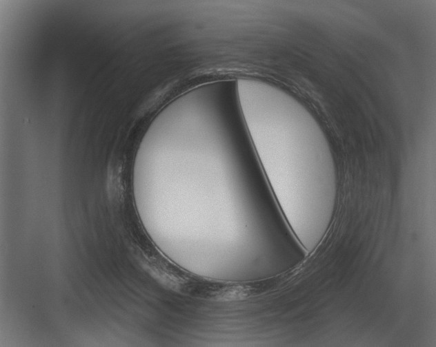 X0000083610116200702120734