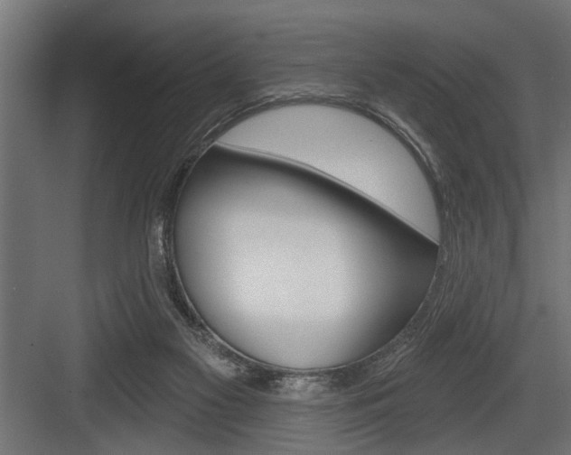 X0000083610117200702120734